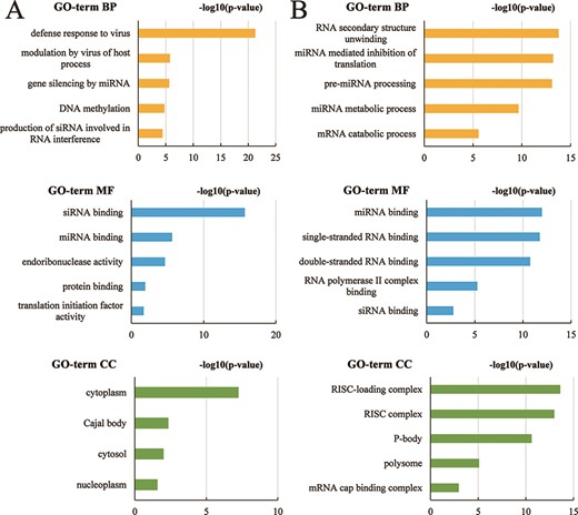 The top five subclasses of GO enrichment terms. (A) Arabidopsis thaliana species. (B) Bos taurus species. BP: biological processes; MF: molecular function; CC: cellular component.