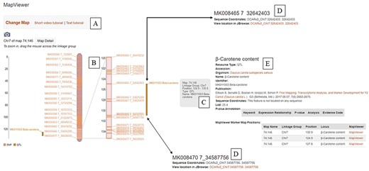 The ‘MapViewer’ tool available at CarrotOmics. (A) Links to video and text tutorials on use of ‘MapViewer’. (B) Linkage map display from Y2 QTL mapping study. (C) Information about QTL displayed on interactive ‘MapViewer’ plot. (D) Physical positions for markers flanking Y2 locus. (E) Information about the study used to create the linkage map.