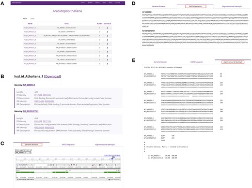 Summary of database information for a selected species. (A) HSDs collected in a table for a specific species. (B) Basic information of the unique HSD ID, gene copy ID and the associated links to Pfam domains and InterPro databases. (C) Linking gene copies to the genome browser. (D) The FASTA sequence downloads of gene copies. (E) Alignments and percentage sequence identities of gene copies.