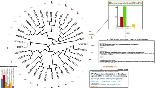 Disease association. Evolutionary dendograms for any table (Figure 1) are automatically generated, onto which data can be projected. Here, histograms representing the number of articles indexed in PubMed linking each gene to specific disease areas are shown. Hovering over histogram icons opens larger bar charts where bars can be clicked to produce the list of articles, each linked to their respective PubMed entry.