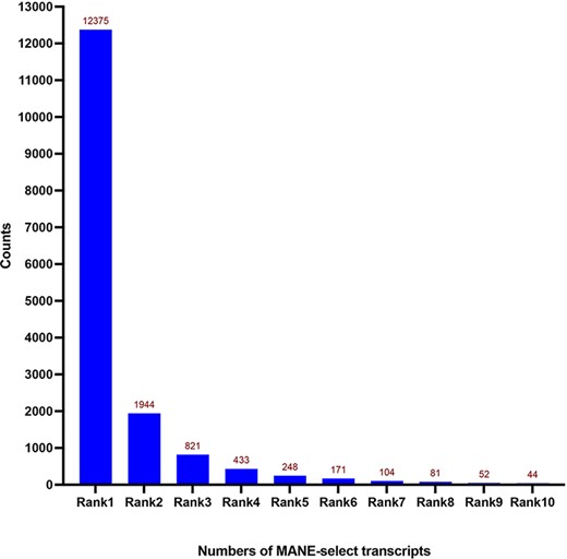 Distribution of expression Ranks (Rank 1–Rank 10) of MANE select transcripts. Most of the MANE select transcripts are the dominantly expressed ones—Rank 1 transcripts according to the GTEx expression dataset. Numbers of genes are shown on top of each column.