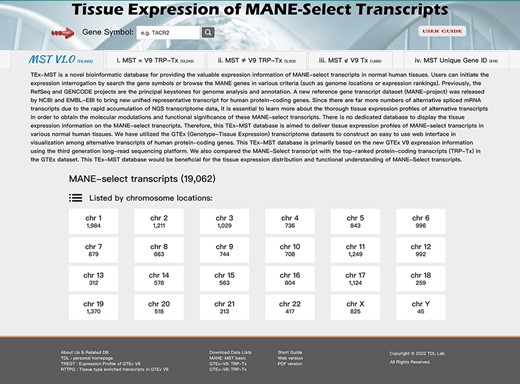 The TEx-MST database web page. We have established a web resource for accessible interrogation on individual MANE select transcripts. There are 19 062 protein-coding gene records in current V1.0 release of MANE project. We further classified them into four categories: (i) matched with GTEx V9 top-ranked protein-coding transcripts—13 245; (ii) not-matched with GTEx V9 top-ranked protein-coding transcripts—3153; (iii) not included in the GTEx V9 transcript list—1685 and (iv) genes not found in the GTEx dataset. A simple user guide is provided for easy access, and users can study the gene of their interests by searching with the gene symbol.
