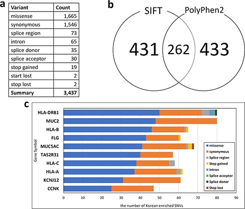 Statistics of Korean-enriched SNVs. (a) Annotation of Korean-enriched SNVs, (b) Venn diagram of the Korean-enriched pathogenic variants predicted by SIFT and PolyPhen-2 algorithms and (c) top 10 genes with Korean-enriched variants. The x-axis represents the number of Korean-enriched SNVs, and the y-axis represents the gene symbol.