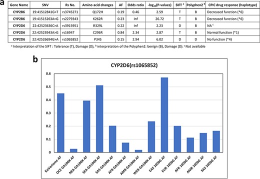 Korean-enriched missense SNVs in the CYP gene family. (a) Example of Korean-enriched missense variants in the CYP gene family and CPIC information. (b) Example of different allele frequencies for rs1065852 SNV in each ethnic group. The x-axis represents ethnicity and the database that contained the information, and the y-axis represents allele frequencies.
