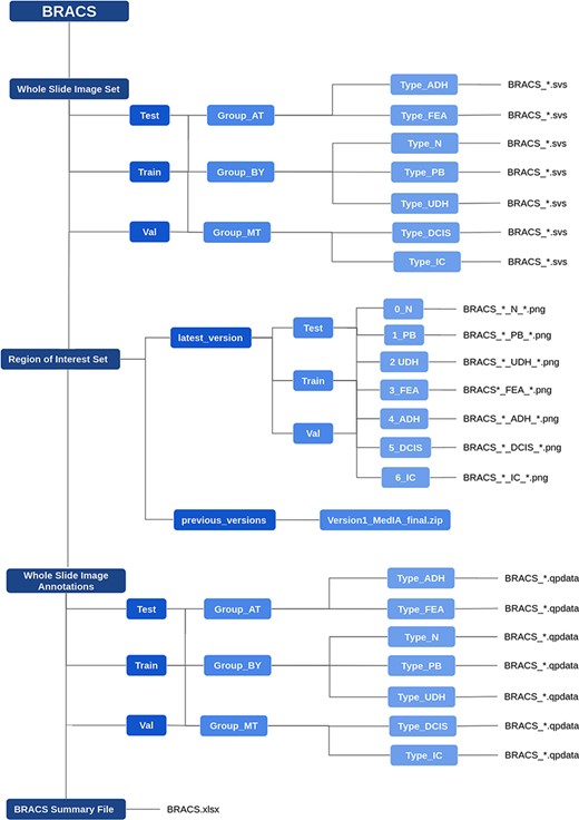 The organization of BRACS dataset folders.