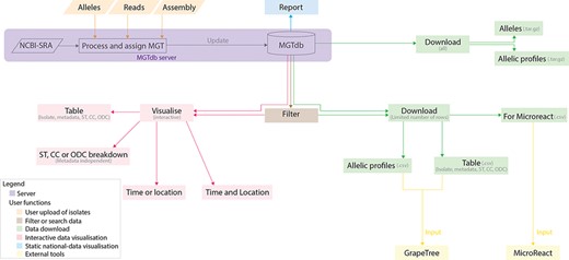 Data visualizations and downloads in MGTdb. The MGTdb database consists of isolates—user-uploaded or those retrieved from NCBI-SRA—assigned the MGT identifiers. In particular, isolates submitted as reads or extracted alleles can be used for typing or querying the database for existing types, whereas isolates submitted as assemblies can only be used for querying the database for existing types. Queried isolates are only visible and downloadable by their uploading user. The MGTdb web service contains features to filter (indicated by brown), visualize (pink and blue) or download (green) these isolates. Indicated by pink: isolates are displayed in a table, either as a complete set or filtered with by metadata, ST, CC and ODC assignments. These data can also be explored via three interactive graphs. The first enables exploring the set of isolates and their MGT assignments in the context of either time or location, the second, in the context of both and the third interactive graph does not use metadata, and enables exploration of isolates and their MGT assignments. Indicated by blue: a report of country-wise or project-wise static summaries of isolates for the last 10 years, at each MGT level, can be generated. Indicated by green: the first 2000 isolates in the displayed table can be exported for use with Microreact—a web-tool which enables phylogeographical and temporal exploration of isolates. The data displayed in the initial table and the allelic profiles for the largest MGT-level STs can also be downloaded. For these two files, the current limits are set to 1 000 000 rows (essentially the entire database) for the tabular data and 10 000 for allelic profiles. The complete set of publicly available isolates, their allelic profiles and allele sequences can be downloaded separately from the organism main page.
