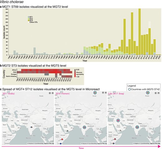 Interactive charts and streamlined integration with Microreact enabled in MGTdb. (a) An interactive chart in MGTdb that enables summarizing all or filtered isolates at any MGT level using either the locational or the temporal metadata. The chart shows the current cholera pandemic isolates (i.e. MGT1 ST69 or seven-gene MLST ST69) at the MGT2 level. This data can be explored on MGTdb at https://mgtdb.unsw.edu.au/vibrio/isolate-list?mgt1=69&searchType=and (data view level MGT2 ST, with ‘Only highlight top’ set to ‘3ʹ). (b) An interactive chart in MGTdb that enables summarizing all initially loaded or filtered isolates using both locational and temporal metadata. The chart shows the current cholera wave isolates (i.e. MGT2 ST3) at the MGT5 level. These data can be explored on MGTdb at https://mgtdb.unsw.edu.au/vibrio/isolate-list?ap2_0_st=3&searchType=and (data view level MGT5 ST). (c) Microreact visualization of MGT4 ST12 isolates exported from MGTdb. A data file—wherein the latitude and longitude are appended, along with unique colours for STs—can be exported from MGTdb for use with Microreact. Microreact enables visualization of isolates at any chosen MGT level, both geographically and temporally. Shown here is the temporal step-through (as enabled on Microreact) of MGT4 ST12 isolates, visualized at the MGT5 level. The data shown in this figure can be explored in Microreact using the link https://microreact.org/project/bjdgCuWdVowtJHwq2npYxi-mgt5-st12-vibrio-cholerae and selecting ‘Colour Column’ as MGT5. Alternatively, the original data can be viewed in MGTdb using the link https://mgtdb.unsw.edu.au/vibrio/isolate-list?ap4_0_st=12&searchType=and.