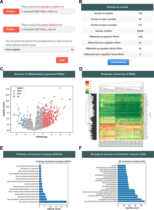 The analysis function of the FDRdb. (A) The upload interface on the ‘Analysis’ page. (B) The statistics of analysis results. (C) The volcano plot of differentially expressed RNAs. (D) The heatmap clustering of differentially expressed RNAs. A statistical bar chart of pathway enrichment analysis in KEGG (E) and analysis of biological process enrichment in GO (F).
