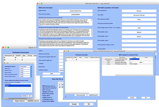 Graphic interface of the bids-matlab-tools plug-in for EEGLAB, a tool to format NEM data in EEGLAB STUDY format to BIDS format for OpenNeuro and NEMAR.