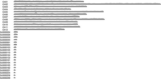 Distribution of transcripts on chromosomes.