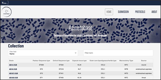 ‘Collection’ page depicting the name, Pasteur and Oxford STs, KL, OCL, macrocolony types and source of each isolate.