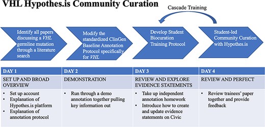 VHL-specific protocol development and training protocol. Summary of a 4-day lesson plan. Refer to Supplementary Material and Methods for the full training protocol, which details the specific steps and homework tasks that were assigned, and the resource guide, which includes links and diagrams that are useful during the annotation process.