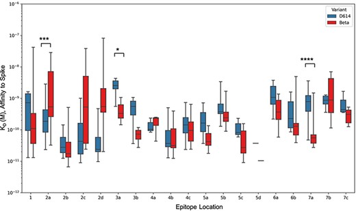 Epitope-wise comparison of antibody binding affinity for Spike D614 (blue bars) and Beta (red bars). Statistical significances were calculated using Welch’s t-test (****P < 0.0001,*** P < 0.001, **P < 0.01, *P < 0.05). Antibodies are grouped according to the epitope community, and the bars represent the mean binding affinity (note that Community 5d includes only two antibodies).