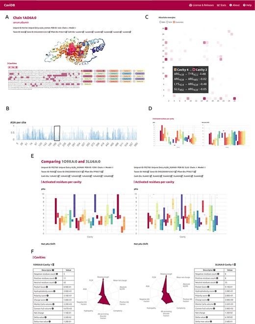 CaviDB display of HSA (PDB ID: 1AO6, chain: A, model: 0). (A) Display of protein and residues per cavity, with Cavities 1 and 2 highlighted in the sequence (magenta and pink, respectively). (B) Bar plot of normalized accessible surface area per site. A box highlights a local minimum of ASA in the vicinity of Lys199. (C) Interactive heat map display of all possible pairwise contacts established between residues in different cavities. A popup window provides details on the absolute energies of the selected interaction. Heat map colors correspond to the number of interactions per cavity, the larger the interaction number is, the darker the color. (D) Boxplot distribution of pKa values (left) and pKa shifts (right) per residue in each detected cavity. (E) Comparison of HSA conformers with high RMSD. The panel shows important changes in acid–base properties in Cavity 1 resulting from the conformational changes (mean pKa = 3.99 in 3LU6_A vs. mean pKa = 5.16 in 1O9X_A), along with changes in other physicochemical features such as the number of charged amino acids, hydrophobicity and charge of residues (F).