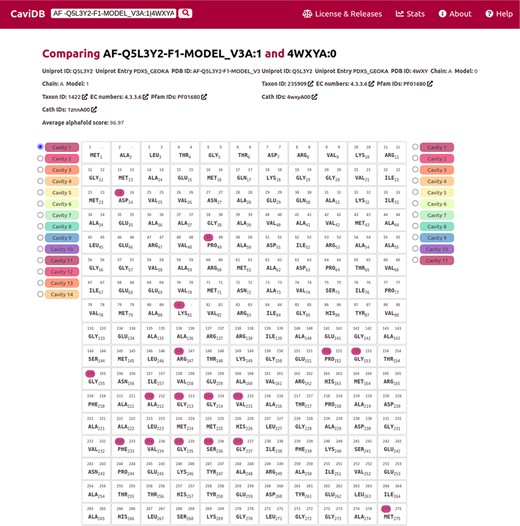 Comparison of the presence of cavities in PLP synthase conformers (UniProt ID Q5L3Y2). Using the expression AF-Q5L3Y2-F1-MODEL_V3A:1|4WXYA:0 to search in CaviDB allows comparing the presence of cavities in both selected conformers. It can be seen that the AlphaFold model contains a biologically relevant cavity (Cavity 1) that contains the key residues described in the bibliography (56). This cavity is absent in other conformers due to the presence of disordered regions.