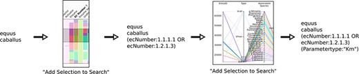 Schematics of searching using the new visualization and query composition for the SABIO-RK data.