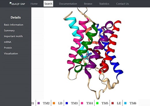 Molecular plot of a specific human AQP with the residue in which missense SNPs occurred shown in ball-and-stick representation. The helices (TM1–TM6) and the half-helices (LB and LE) are displayed in different colors.