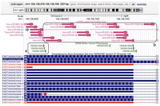 Visualization of a portion of the LMNA gene in UCSC genome browser (http://genome.ucsc.edu). (a) The vast majority of the causative mutations for HGPS cluster in this splicing junction. The star points out the ENST00000368299 transcript, the LMNA splicing form lacking 150 nucleotides, typical of HGPS. The arrow points out the BS predicted for hsa-miR-330-5p which binds specifically the aberrant splicing form involved in HGPS only. (b) miRNAs that do not recognize the aberrant splicing form involved in HGPS.