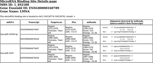 An example of binding site details html page. This binding site is located in LMNA gene.