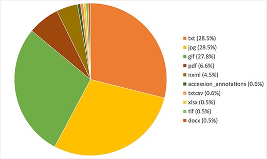 Distribution of the 10 most frequent file types in the Variomes supplementary data index.
