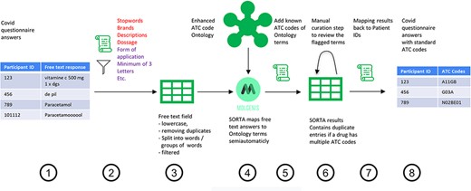 Process overview on how to get from the free-text answers to ATC codes. We pre-processed the COVID-19 questionnaire answers (Step 1) by first removing participant IDs to anonymize the data, then removing duplicates and unnecessary information and splitting the answer into single terms (Step 2). The result is a list of slightly filtered, unique free-text answers (Step 3). Expert users can then use SORTA to assign ontology terms to each free-text answer (Step 4). Based on a confidence threshold, users can automatically accept assignments. The extended SORTA 2.0 user interface also has the option to flag terms for manual curation, to fix less confident assignments afterwards. After downloading SORTA results, a script can automatically assign the ATC codes (Step 5) to the ontology terms. The cases that could not be solved within SORTA and therefore were flagged for manual curation can be processed by a human expert (Step 6). After manual curation of the more complex cases, the final step (Step 7) recombines the ATC codes with the participant IDs to produce a table with participant IDs and corresponding medication’s standardized ATC code(s) (Step 8).