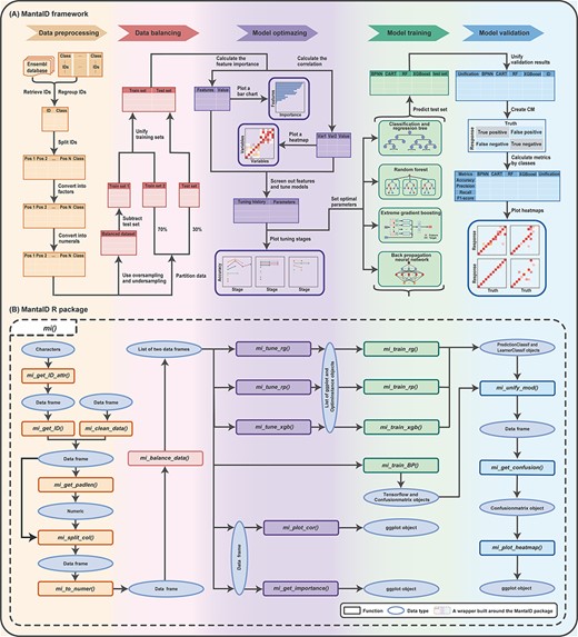 Schematic overview of the MantaID tool. (A) The theoretical framework MantaID. (B) The R package functions of MantaID. The wrapper function created by MantaID; a wrapper function ‘mi()’ is created that is used to group the functionalities of MantaID and can be executed to carry out all the steps of the MantaID workflow in a lazy fashion.