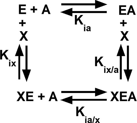 An allosteric energy cycle in which an enzyme (E) binds one substrate (A) and one allosteric effector (X). Kia is the binding of the substrate to the enzyme in the absence of the effector; when initial data are derived from kinetic measurements, this parameter is designated as Ka. Kia/x is the binding of the substrate to the enzyme in the presence of saturating concentrations of the effector. Kix is the binding of the effector to the enzyme when the substrate is absent. Kix/a is the binding of the effector to the enzyme in the presence of saturating concentrations of the substrate. Allosteric coupling is defined as Qax = Ka/Ka/x = Kix/Kix/a (34, 36, 37, 223). A description of hLPYK’s allosteric regulation requires two such functional cycles—one for activation by Fru-1,6-BP and one for inhibition by alanine.