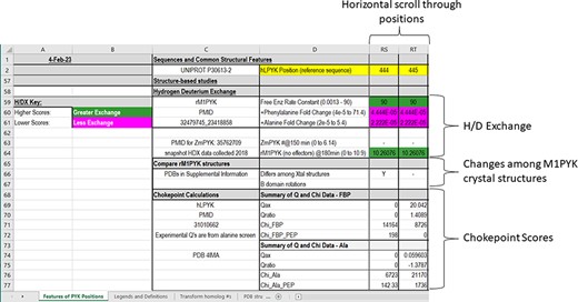 The bottom section of the ‘Features of PYK Positions’ worksheet in the PYK-SubstitutionOME workbook. Again, Rows 1 and 2 and Columns A–D are anchored to provide reference points. This section contains structural information, including H/DX data from both rM1PYK and ZmPYK, structural comparisons for M1PYK and chokepoint calculations for hLPYK. H/DX scores are color-coded to aid visual interpretation; color legends are in the left-most columns.