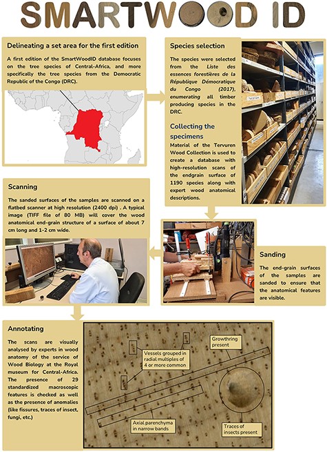 A flowchart showing the procedure of building the database.