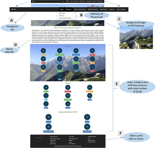 Home page details of the IHM-DB. (A) The home page view of the IHM-DB navigational bar with seven different tabs. (B). Browse tab. It consists of three subtab categories. (C) Background image which describes the Indian Himalayas with a snow line range, including the green Dhauladhar Mountain of Himachal Pradesh. (D) Short description about the IHM-DB. (E) Total number of studies from NCBI, EMBL, and MG-RAST with state-, category- and hypervariable-wise data. (F) Database footer includes other useful links for quick access.