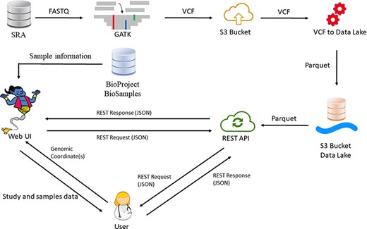 GeniePool workflow. Raw genomic NGS data from SRA are preprocessed according to GATK’s best practices and stored efficiently using the Parquet format in a cloud data lake architecture. Preprocessed data are available via either a REST API or a designated web UI accompanied by BioSample data that provide information regarding specific samples.