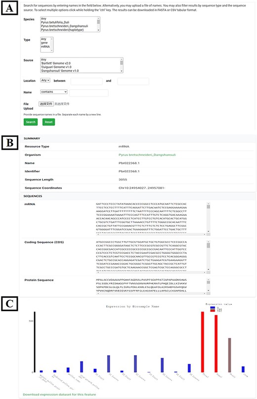 Gene search tool. (A) Gene search page. (B) Chromosomal location and sequences of the target gene. (C) Spatiotemporal expression profile of target gene.