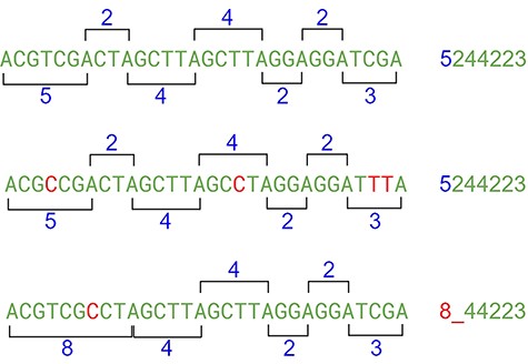 The indel problem. Source: the authors.