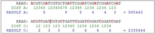 Hypothetical reads. The bases in red are used as a distance marker (green line). The result, in blue, makes up the sequence identity. Source: the authors.