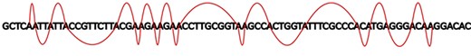 Example of a possible wave and its frequency. SARS-CoV-2 reference sample read from NCBI Sequence Read Archive (SAR): ERR4329467.