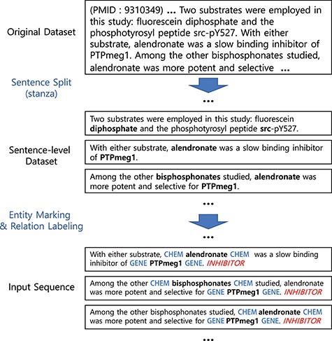 Preprocessing steps. Entity markers wrap entities in input sequences.