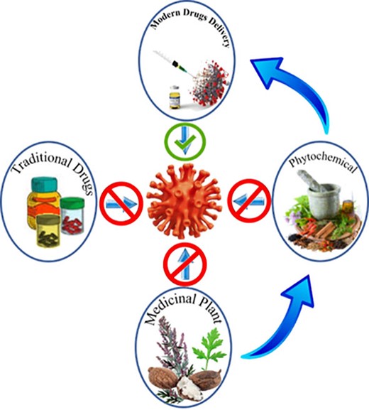 The future direction of the antiviral phytochemicals.
