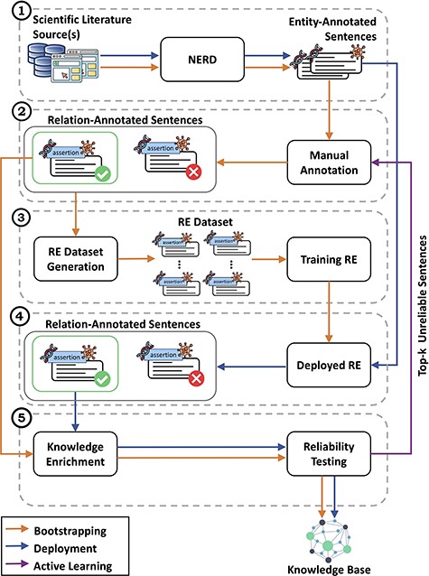 Detailed view of the CORE architecture. In module (1), CORE acquires text from biomedical literature and then performs NERD to generate entity-annotated sentences. These sentences are then manually annotated by experts in module (2) to produce relation-annotated sentences, which are used to generate the datasets for training RE methods in module (3). Once trained, in module (4), the RE methods are deployed over entity-annotated sentences to automatically generate relation-annotated sentences. Finally, in module (5), relation-annotated sentences undergo a knowledge enrichment component, which generates facts, and a reliability testing component, which tags facts as ‘reliable’ or ‘unreliable’. Facts tagged as ‘reliable’ are used to populate the KB, whereas ‘unreliable’ facts are returned to experts for re-annotation.