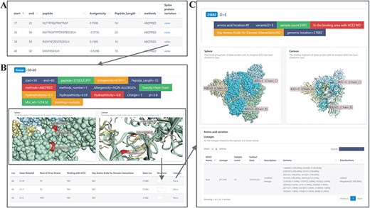 B-cell epitopes browsing. (A) B-cell epitopes with its antigenicity. Click the ‘view’ button to view the Spike protein mutations. (B) Spike protein mutations related. View the mutation sites by switching and view lineages by button ‘view’. (C) Lineages related with Spike protein structure.