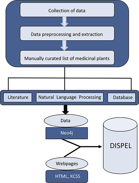 Schematic representation of overall strategy used in the construction of DISPEL database.