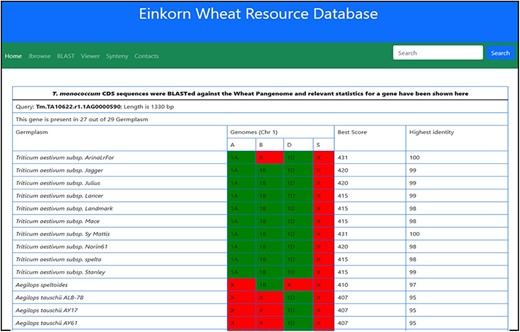 Table showing the BLAST statistics of a gene against the wheat pan-genome collection. This table is accessible from the Blast column of search results table.
