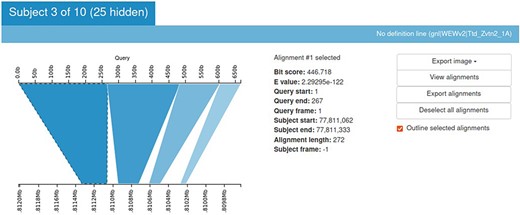 Kablammo display for the BLAST results of a sample query sequence. Various alignment statistics are being shown along with the option to view/download images and alignments. Please see the tutorial on the einkorn resource database webpage on how to generate this output (https://avena.pw.usda.gov/genomes/mono/pan_help.php).