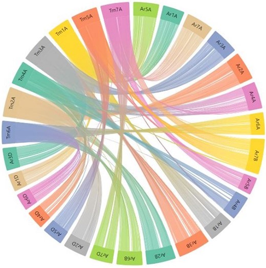 Part of the webpage shows a synteny between the T. monococcum TA10622 and T. aestivum ArinaLrFor. The figure is available on the synteny tab of einkorn wheat resource database web page by selecting the respective genome. This figure can also be generated by uploading the two precomputed files (gff and collinearity) provided on the synteny tab of einkorn resource database web page on the AccuSyn server.