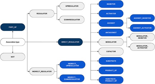 An overview of the hierarchy of DrugProt relation types and classification considered in annotation guidelines. The elements in blue represent those chosen for the DrugProt task, with dark-blue indicating the classes and light-blue representing the subclasses. They were selected based on their impact, the number of annotated instances, the internal consistency of the relation tree and the prediction performance determined by a baseline system (37).