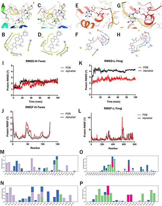Molecular simulations of Highlighted predictions compared with PDB structures. (a–b) 7wwz-PDB-Protein docking with 7ow; (c–d) 7wwz-Alphafold-Protein docking with 7ow; (e–f) 7mqj-PDB-Protein docking with ADP; (g–h) 7mqj-Alphafold-Protein docking with ADP; (i–k) RMSD of 7wwz and 7mqj; (j–l) RMSF of 7wwz and 7mqj; (m–p) Complex interaction: (m) 7wwz-PDB-Complex, (n) 7wwz-Alphafold-Complex, (o) 7mqj-PDB-Complex, (p) 7mqj-Alphafold-Complex.
