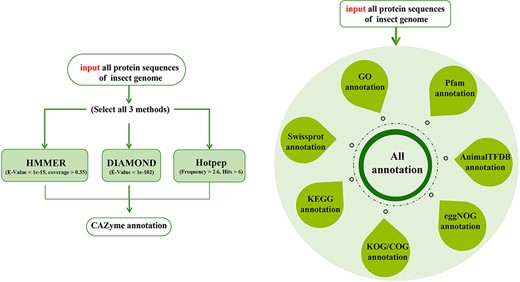 Design flow chart of iCAZyGFADB.