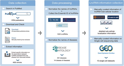 Data collection and processing of the LncPCD database.