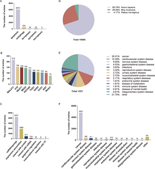 Statistical information on LncPCD. (A) Numbers of entries for different types of programmed cell death. (B) Numbers of entries for the top 10 lncRNAs. (C) Numbers of entries for lncRNA-mediated regulatory mechanisms. (D) Numbers of entries for three species. (E) Numbers of diseases for different classes. (F) Numbers of entries in different disease classes.