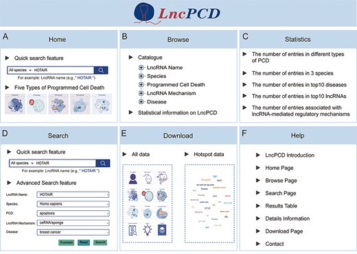 Overview of the LncPCD web interface. (A) Overview of the Home page. (B) Overview of the Browse page. (C) Overview of the Statistics page. (D) Overview of the Search page. (E) Overview of the Download page. (F) Overview of the Help page.