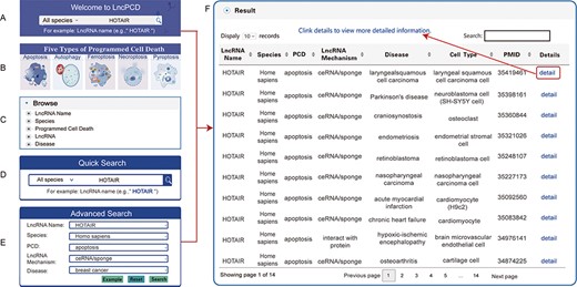 Search methods and results in the LncPCD database. There are five methods to obtain related information. (A) Quick search function on the Home page. (B) Image links to the five types of PCD on the home page. (C) Tree view function on the left side of the Browse page. (D) Quick Search function on the Search page. (E) Advanced Search function on the Search page. Through each of the above methods, a result table is obtained. (F) LncPCD results are organized in a data table, with a single association record on each line.